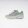 SALOMON XT-6 GTX DESSERT SAGE