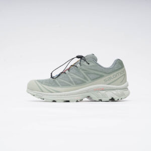SALOMON XT-6 GTX DESSERT SAGE