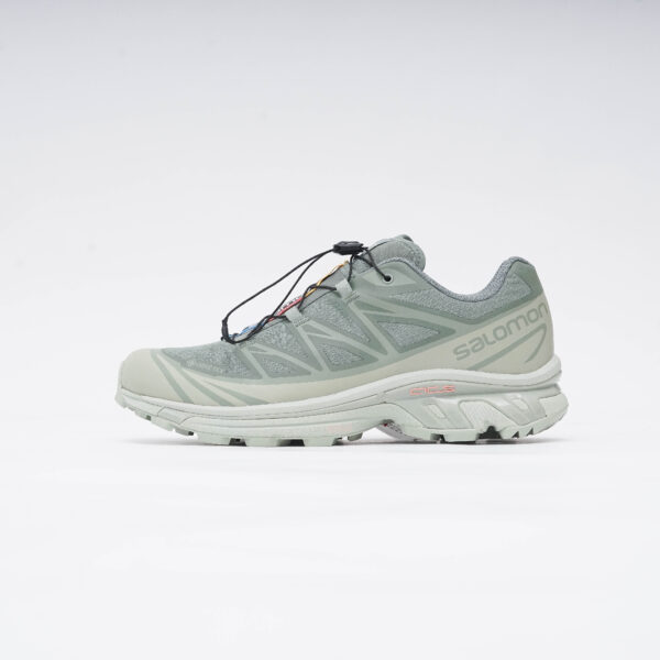 SALOMON XT-6 GTX DESSERT SAGE
