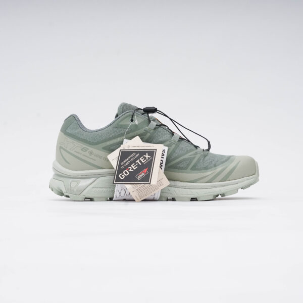 SALOMON XT-6 GTX DESSERT SAGE