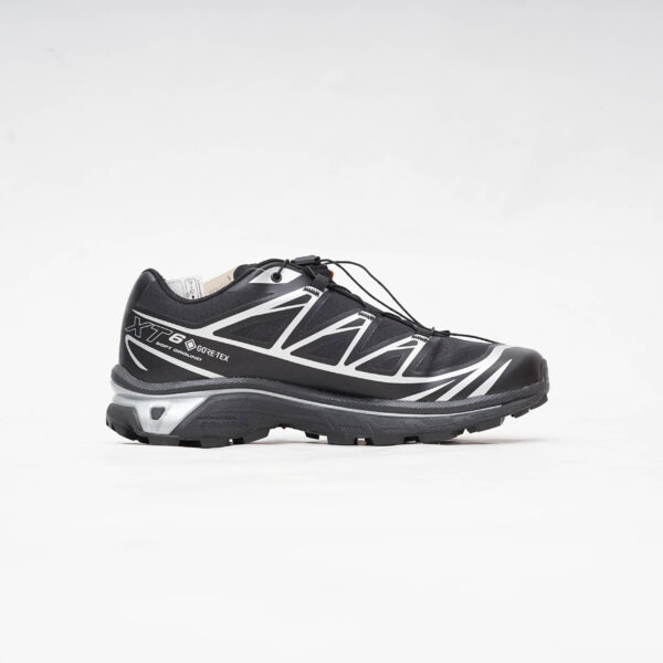 DSC05305 SALOMON XT 6 GTX BLACK SILVER