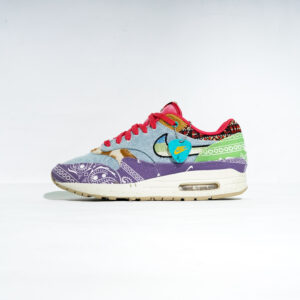 NIKE AIR MAX 1 SP CONCEPTS FAR OUT WILD VIOLET