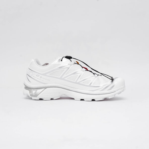 DSC04844 SALOMON XT-6 GTX WHITE SILVER