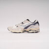 DSC09353 MIZUNO WAVE RIDER 10 BEIGE PURPLE