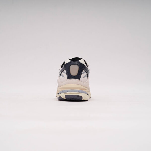 DSC09354 MIZUNO WAVE RIDER 10 BEIGE PURPLE